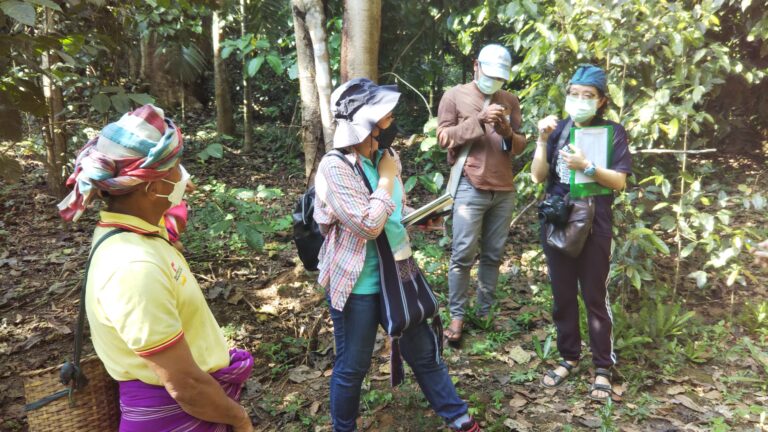 Local Karen indigenous collaborators discussing with our researchers and collecting field data on traditional food species for the RISE project at Koh Sadeng village in the Thung Yai Naresuan Wildlife Sanctuary, Thailand. Photo by Jorge García Molinos.