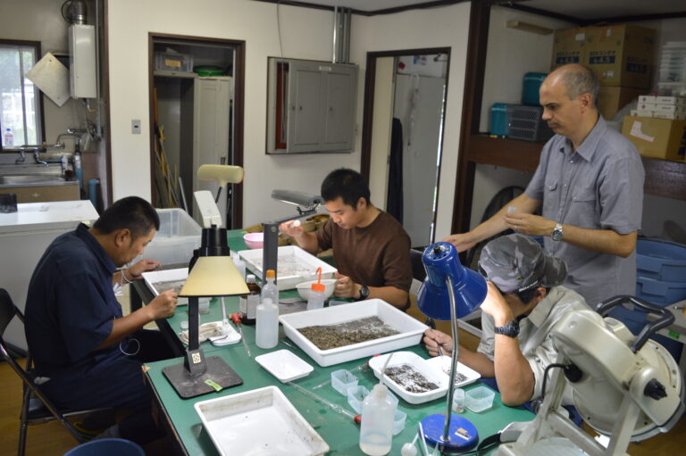 Sorting aquatic benthic invertebrates from samples in the lab for identification. Photo by Samuel Ross.