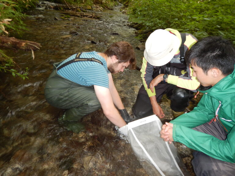 Collecting benthic invertebrates in a small headwater stream in Hokkaido. Photo by Nobuo Ishiyama