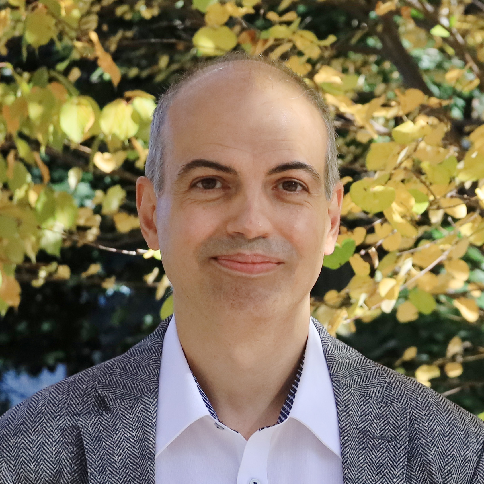 Impact Of Climate Change In Recent Times