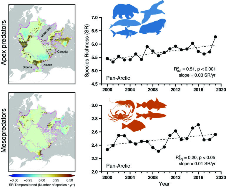 Species richness trends and pan-Arctic averages between 2000 and 2019. The top panels show data for 26 apex species; the bottom panels show data for 43 mesopredators (bottom panels) species. Dotted areas on the maps (left; top and bottom panels) have increased species number over time. (Image from Alabia et al., 2023)