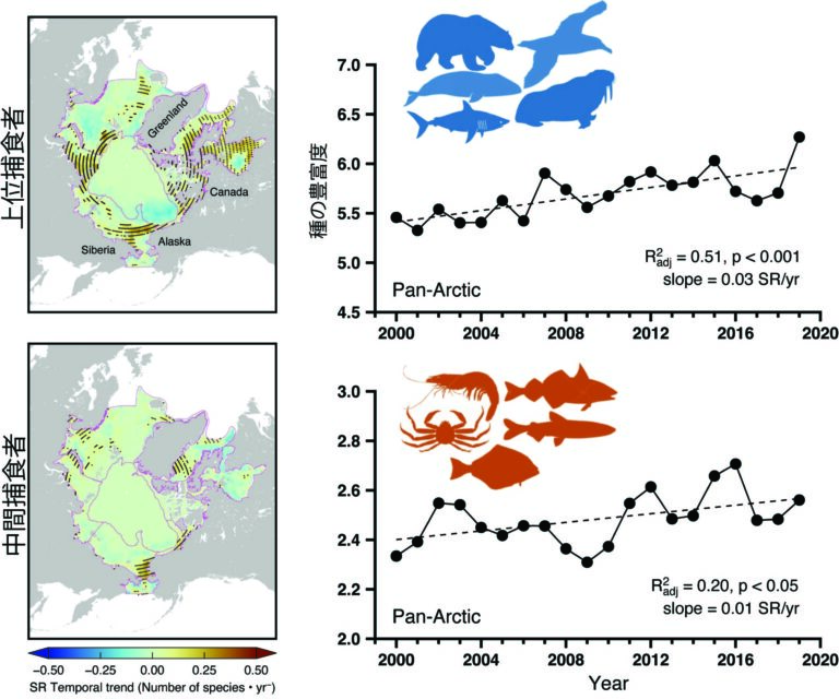 北極海域における2000〜2019年の生物多様性の変化。上段は食物連鎖の上位にある26種、下段は中間捕食者43種を示している。地図上の点は生物種が増加した地域を示す。