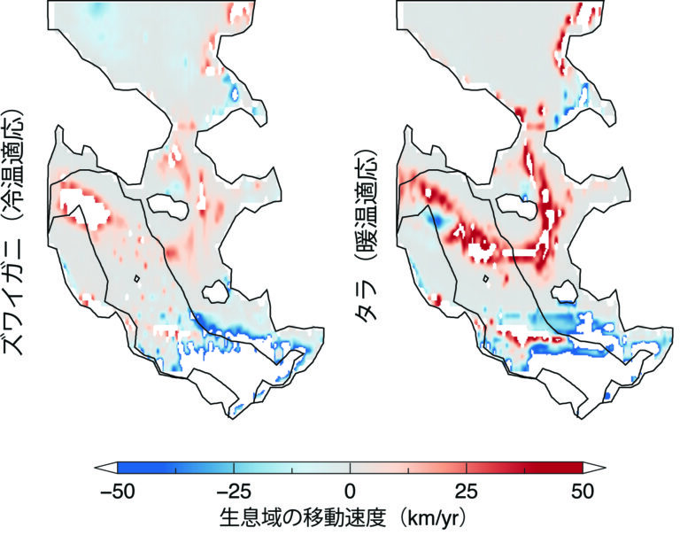 1993年から2016年までの東ベーリング海における冷温適応種（ズワイガニ）と暖温適応種（タラ）の生息域の移動速度。