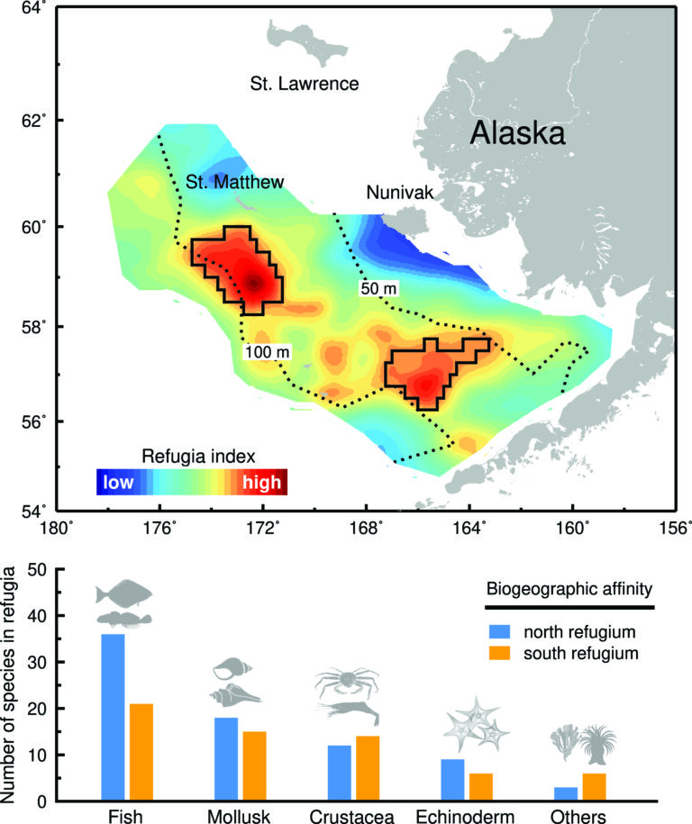 Two distinct biodiversity refugia (top panel; black polygons) for marine communities (159 fish and invertebrate species) in the Eastern Bering Sea from 1990-2018. These refugia showed high species richness over time (bottom panel). (Image from Alabia et al., 2021)