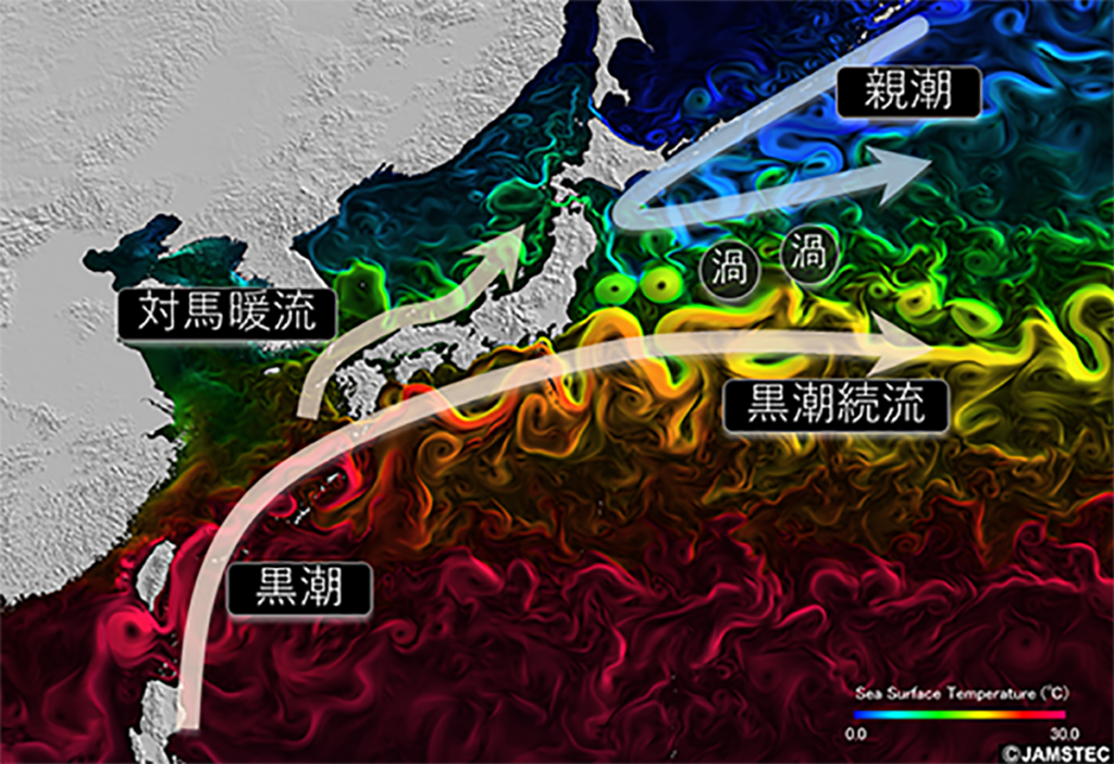 膨大なデータの解析で大気-海洋相互作用を解明する – 気候変動に挑む Climate Change