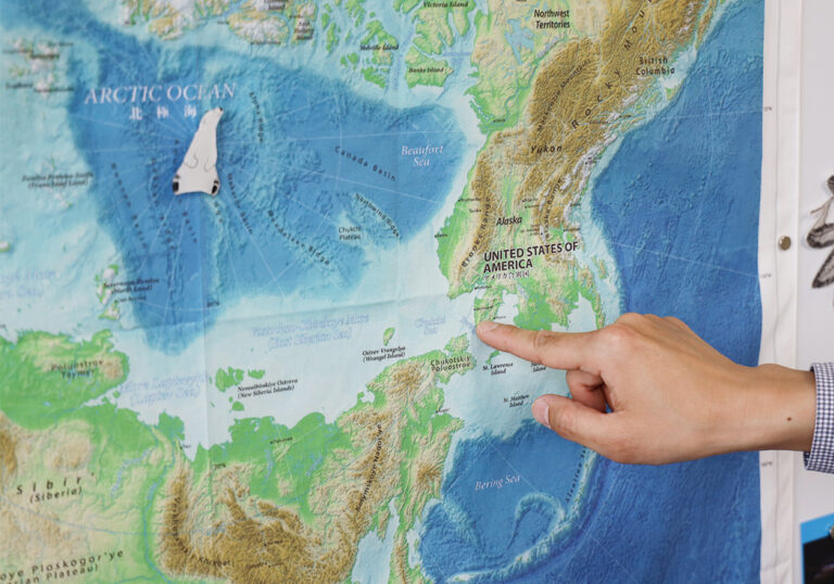 松野さんは北極域のチャクチ海やベーリング海で調査を行う。（写真：Pinto Sohail Keegan）
