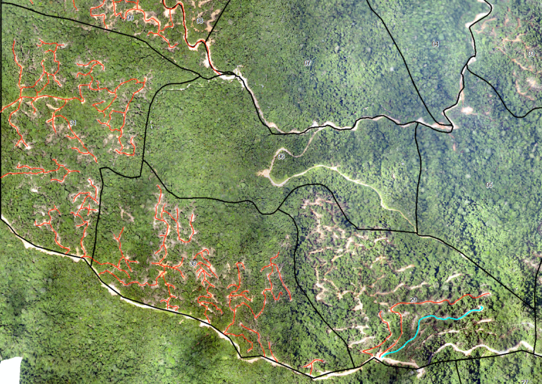 Red lines delineate areas earmarked for selective timber logging in tropical forests, while black boundaries demarcate individual compartments within the timber concession. The purpose is to continually monitor the ongoing progress and assess the impacts of selective logging on forest clearing and soil health (Photo by Stanley Anak Suab)