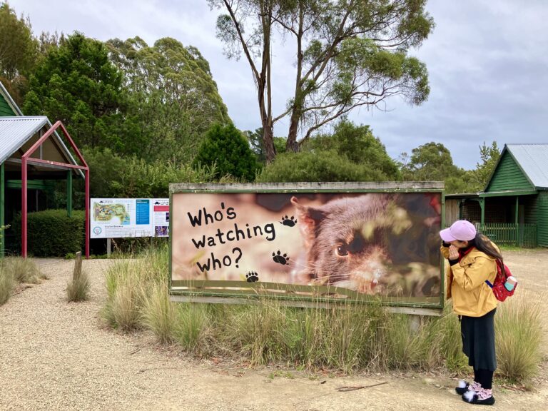 オーストラリアの野生動物園「タスマニアン・デビル・アンズー」の外にある「誰が誰を見ている？」と書かれた看板。動物関連の施設に入るとき、誰もが時々感じる示唆に富む質問を投げかけている（2024年2月、撮影：ヨハン・エデルヘイム教授)