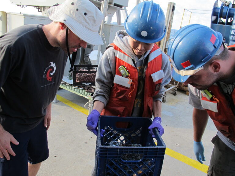 Samples from the deep sea recovered by the US manned deep submergence vehicle (DSV) Alvin (2014, Courtesy of Sayaka Mino).