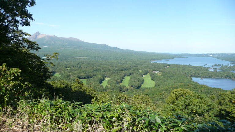 View from Higurashiyama (2008, Courtesy of Sayaka Mino).