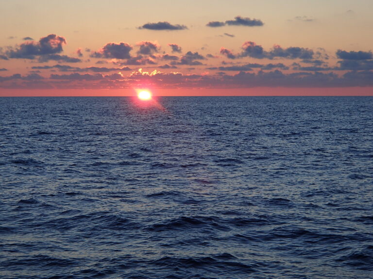 Sailing in the Eastern Pacific Ocean (2014, Courtesy of Sayaka Mino).