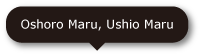 Oshoro Maru, Ushio Maru