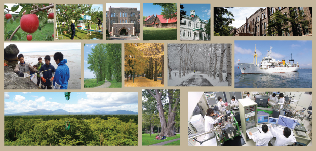 Why Hokkaido University?