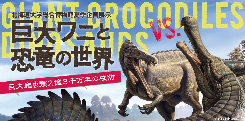 The Hokkaido University Museum Exhibition Poster