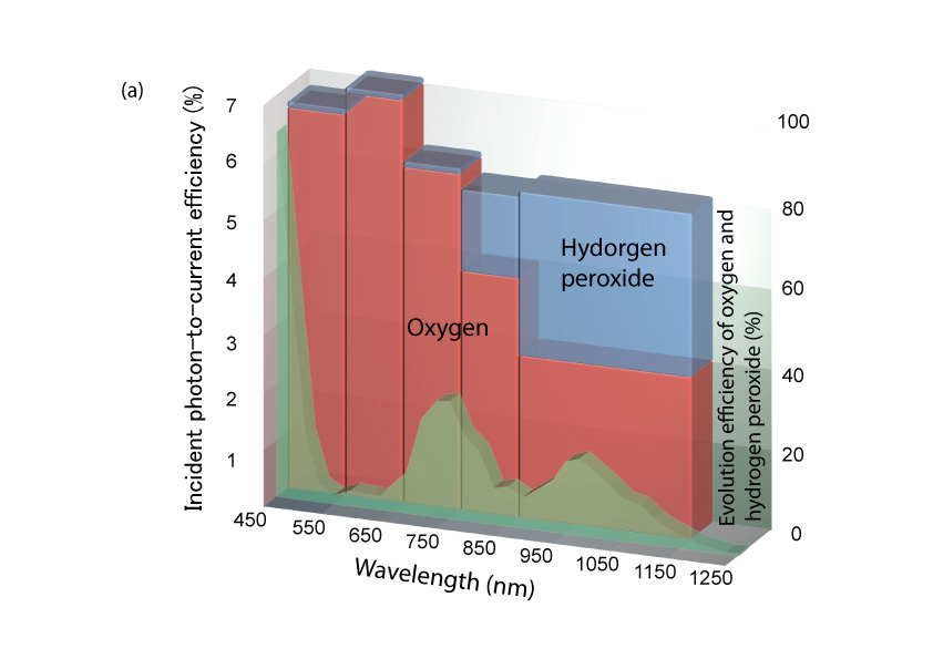 (a) This shows the wavelength dependence of IPCE (incident photon-to-current efficiency), and the wavelength dependence of evolution efficiency of  oxygen and hydrogen peroxide for the photocurrent (bar graph). 