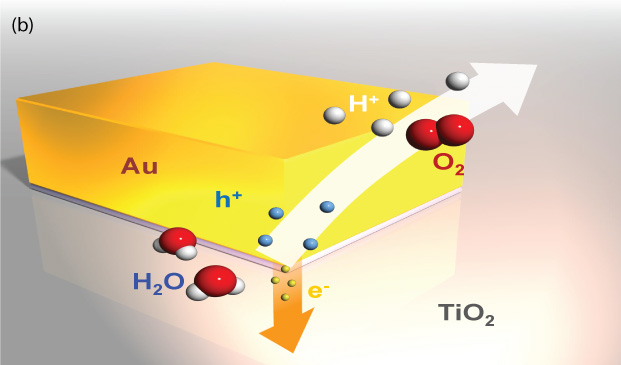 (b) A schematic illustration of the evolution of oxygen due to the water oxidation caused by the plasmon-induced charge separation based on the electron transfer from gold nanostructure to the conduction band of titanium dioxide).