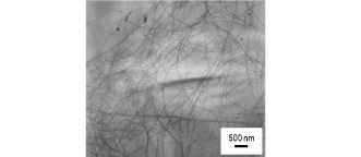 Photo 2 Electron microscopic photograph of NFBC