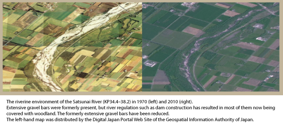 Figure 1. Woodland expansion on the Satsunai River