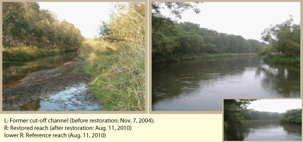 Figure 2. River scenery in a meander restoration section and in a natural section The scenery after meander restoration (R) is similar to that in a natural section which still remains on the original meandering river (lower R), showing that this project successfully restored scenery similar to that in natural condition. 