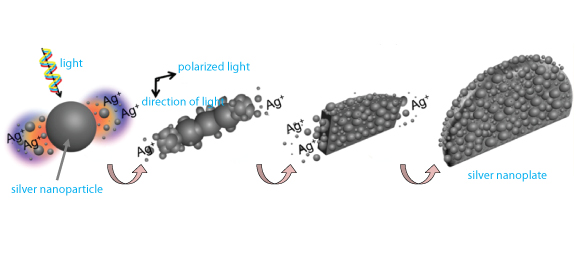 Fig. 1 Formation of a Silver Nanoplate 