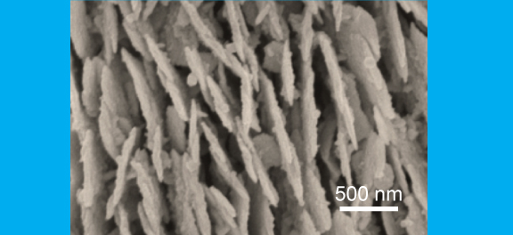 Fig. 2 Electronic Microscope Image of the Silver Nanoplates 