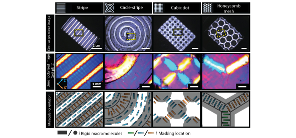 Various superstructures of rigid macromolecules within gels