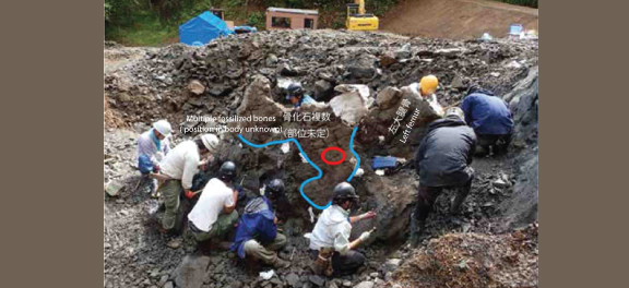 Fig. 2  Photo of the dig site and location where the maxilla was discovered (red circle)