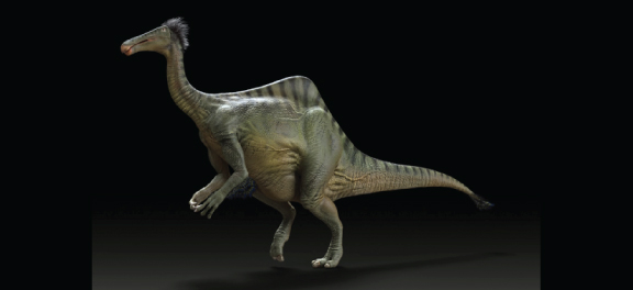 Deinocheirus mirificus, no longer an enigma