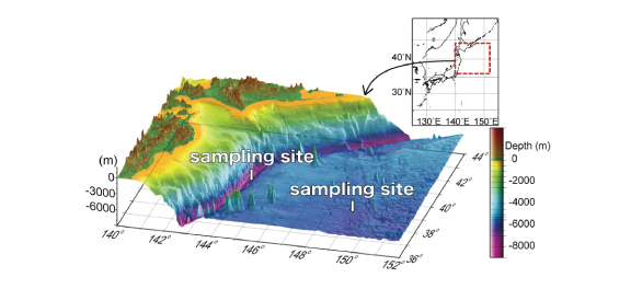 Location where lava was collected (offshore of the Tohoku region). This area is located immediately before the oceanic plate subducts under the Japanese Archipelago. Stress from the plate bending is thought to cause cracks in the oceanic plate. While igneous activity has never been predicted in this area before, if magma exists just beneath the oceanic plate, it is a possibility that magma flows to the seabed through a crack.