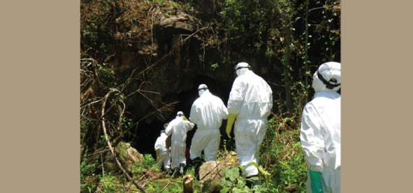 Leopards Hill cave in Zambia where we collected the bat samples 