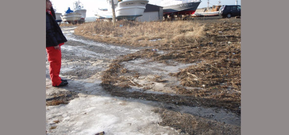 Fig. 2: Debris brought ashore (North side of Nemuro port north breakwater)