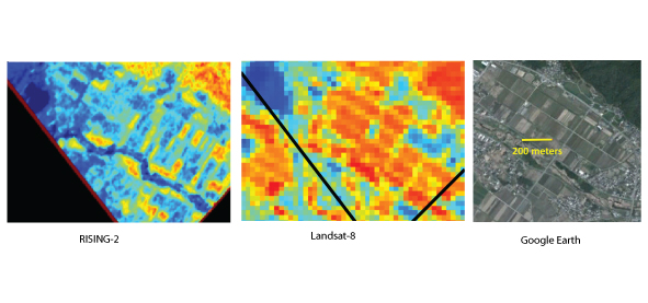 Fig. 2. Close-up of Fig. 1. Spatial resolution of NDVI map made from RISING-2 images is about 10 m, from which we can identify each typical unit of agricultural land. This resolution is the best in the world as a camera which has bands more than few hundreds. On the other hand, in the NDVI map from Landsat-8 we couldn’t see right distribution of NDVI.