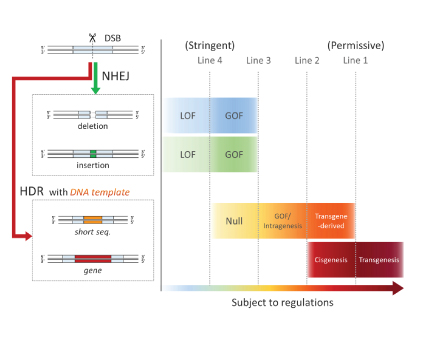 Figure 1. Regulatory models for genome edited crops (simplified version）