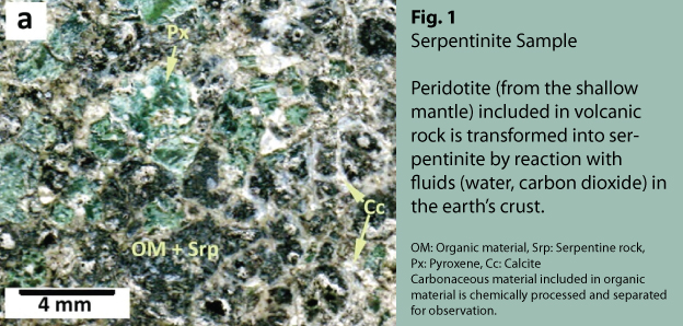 Carbonaceous material found in serpentinite (Fig. 1) from Sicily’s Hyblean Plateau was analyzed primarily by a group at Hokkaido University using a transmission electron microscope and micro Raman scattering spectrometer.