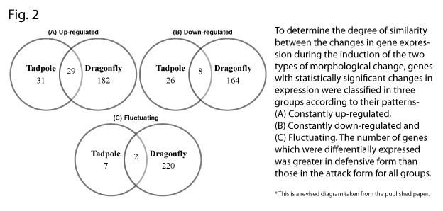 Figure 2. The number of differentially expressed genes in the brain