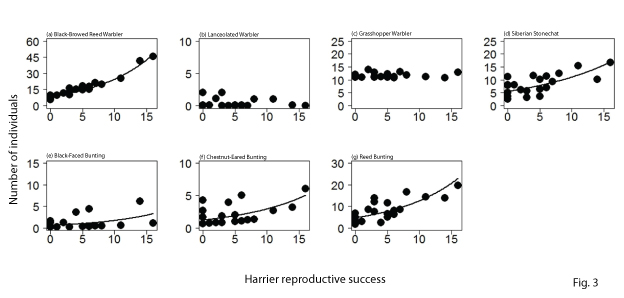 Relationship between the number of fledglings of seven species of small birds, and  harrier reproductive success:  A higher value on the horizontal axis shows higher harrier reproductive success. Each black dot shows the population living per unit area in each wetland. The curves indicate that the abundance has a statistically significant relationship with harrier reproductive success. For the three species, the Siberian rubythroat, the long-tailed rosefinch, and the water rail, the abundances in the investigation were small, so analysis was not possible.