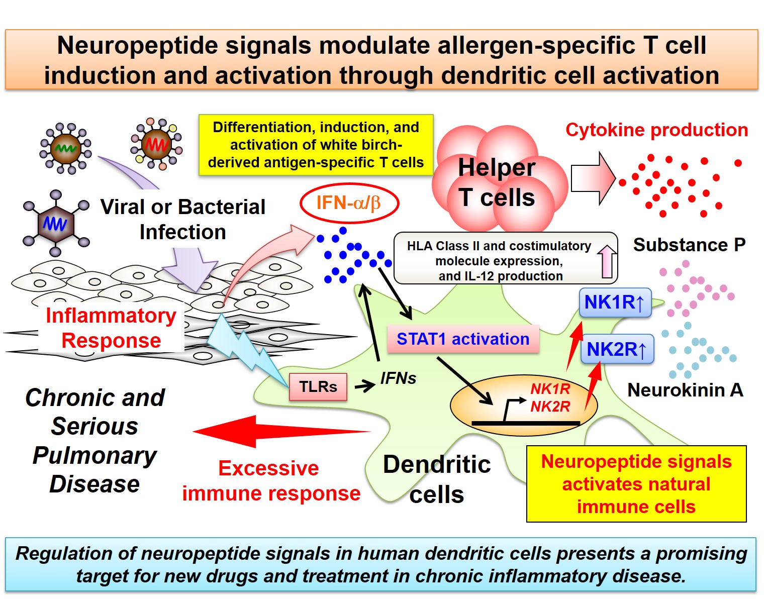 A mechanism model for antigen-specific helper T-cell induction and activation mediated by dendritic cells through the expression of neuropeptide receptors (NK1R, NK2R). Blocking the neuropeptide signaling pathway using receptor antagonists may  prevent or improve pulmonary disorders such as chronic or severe asthma and hypersensitivity pneumonitis.