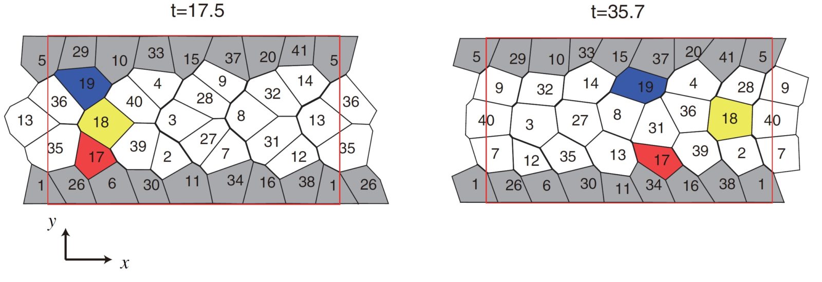 Collective cell migration. If there is a direction-dependent contractile force on the sides of the cells, then the cells can rearrange their positions with their own contraction to migrate unidirectionally while maintaining cell-cell adhesion. The numbers are the cell numbers. Colors are added to make it easier to see the cell migration.