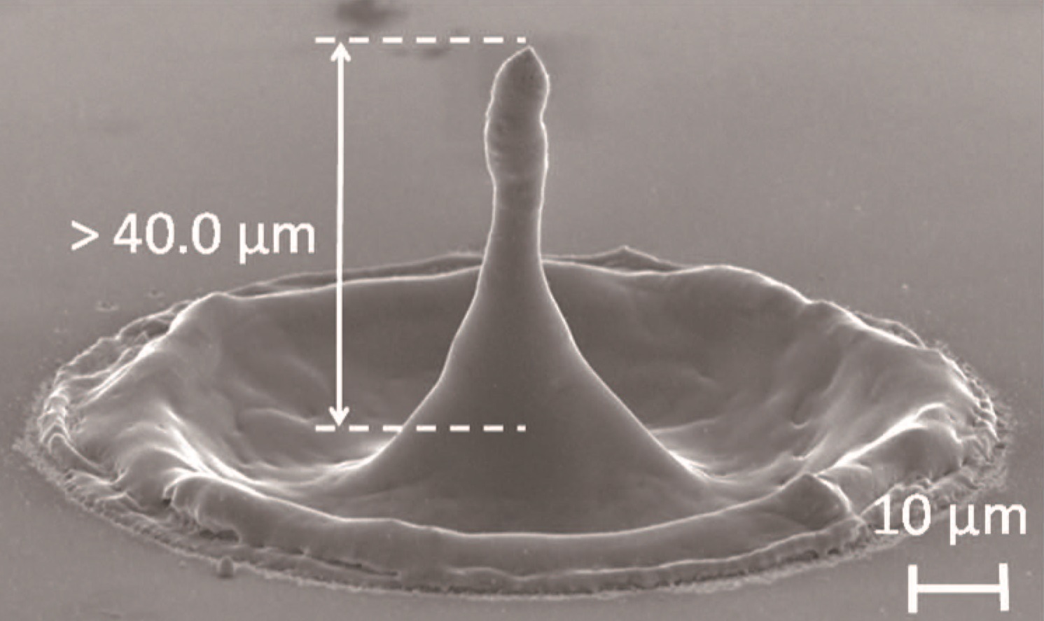 Silicon needle fabricated by the irradiation of 12 overlaid picosecond vortex pulses with a pulse energy of 0.6 mJ.