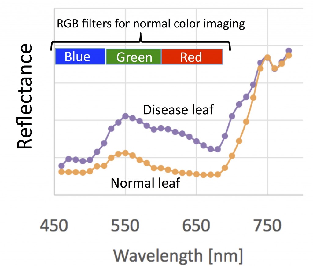 Spectrum of reflectance for leaf that indicating the condition, Hokkaido University