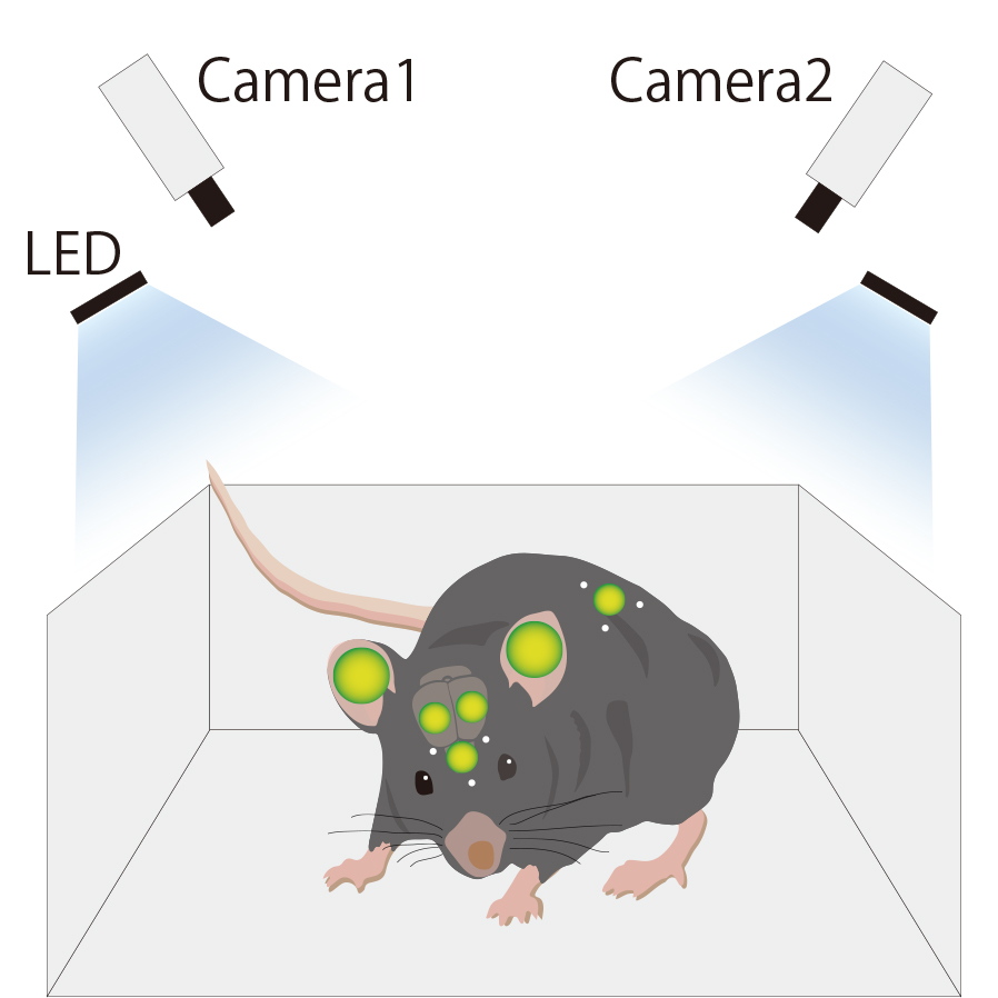 Fig1_mod