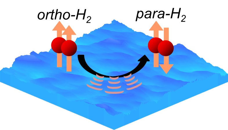 Ortho-to-para conversion of molecular hydrogen on an extremely low temperature ice surface. Ortho-hydrogen converts to para-hydrogen by releasing energy to the ice surface. The conversion rate differed depending on the ice temperature.