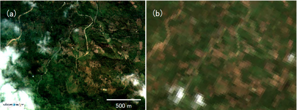 Image captured by microsatellite DIWATA-1