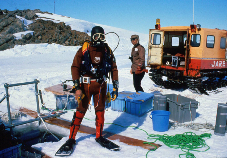 New species discovered in Antarctica Hokkaido University
