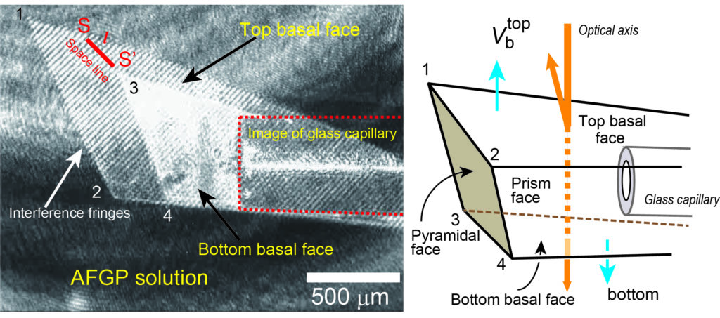 ice crystal growth