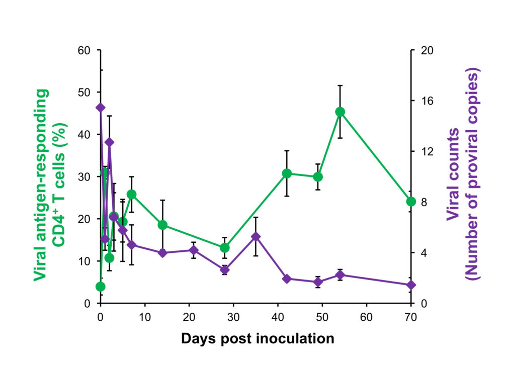 Active T cells and viral counts