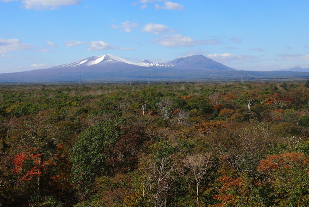 Tomakomai Experimental Forest