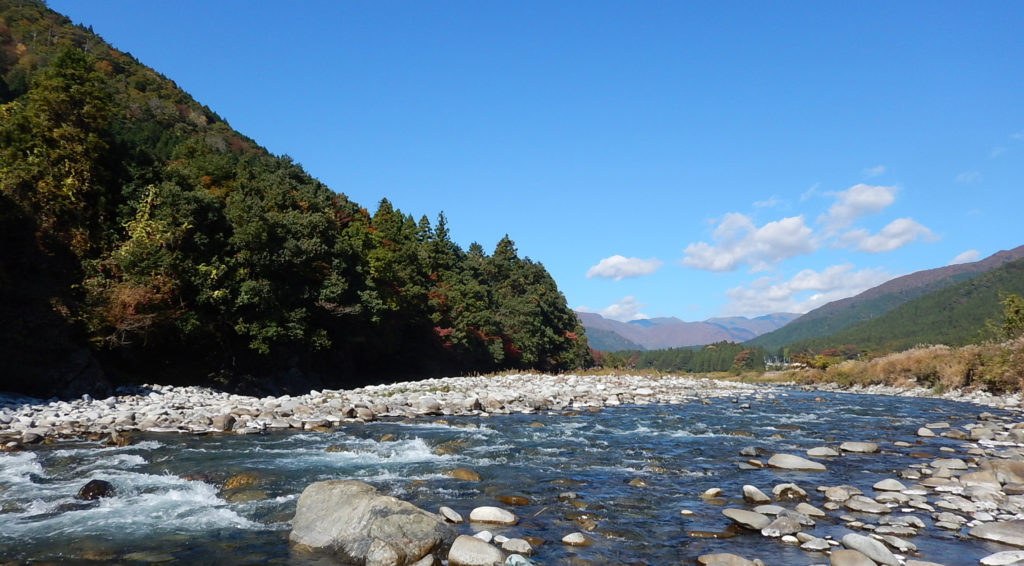 branching complexity of rivers