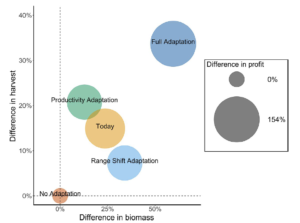 Global fisheries could still become more profitable despite global