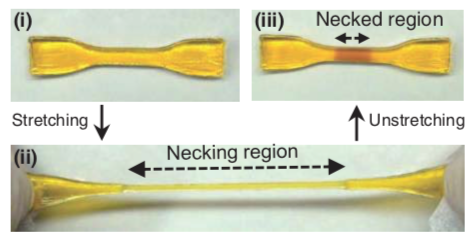 Self-Growing Materials That Strengthen in Response to Force